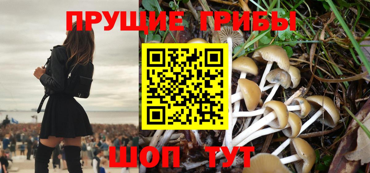 Ярославль  Псилоцибиновые грибы Magic Shrooms  Вход с VPN 