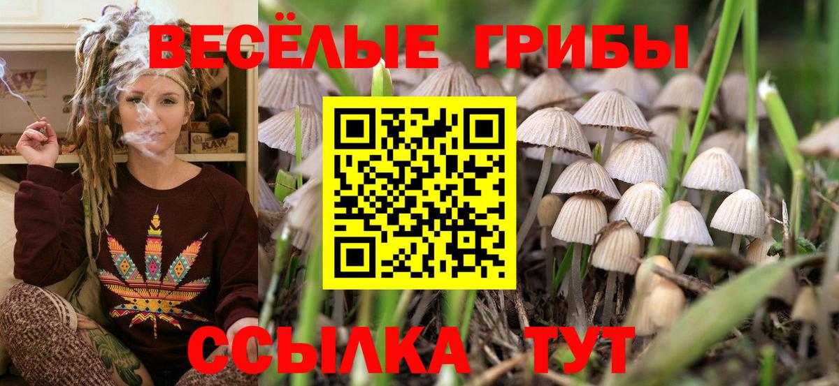 Галлюциногенные грибы MAGIC MUSHROOMS Ярославль