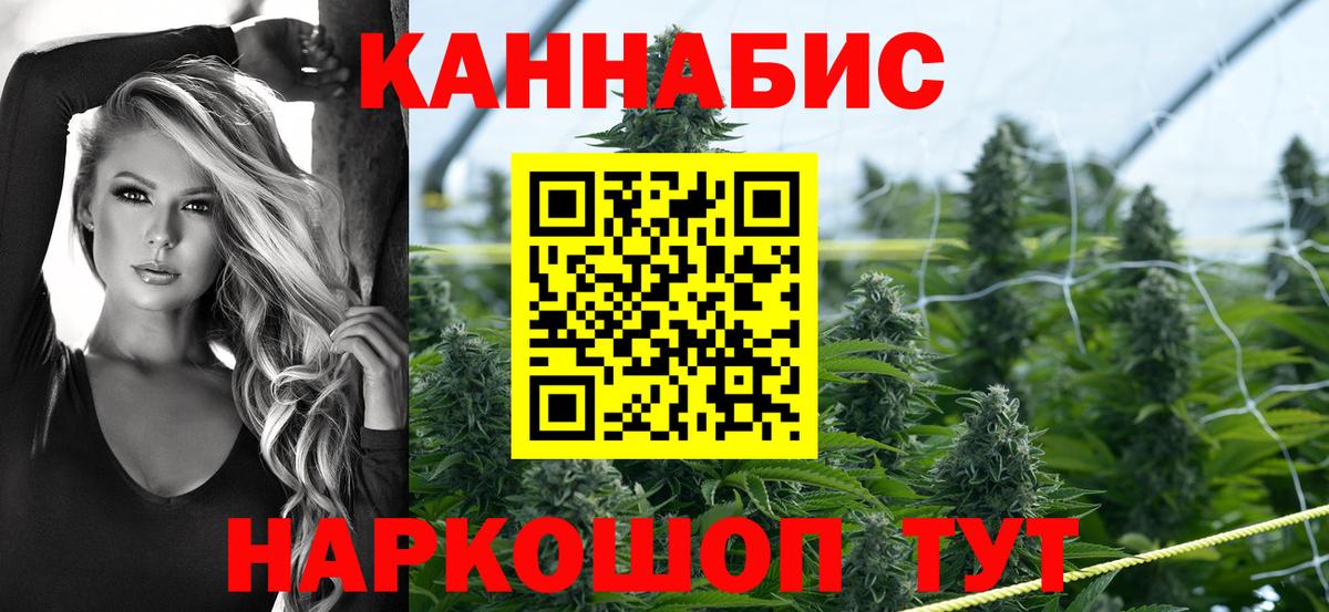 Бошки марихуана конопля  Вход с VPN  Шишки марихуана Bruce Banner  Ярославль 